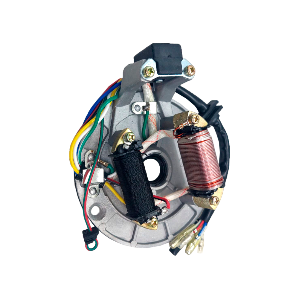 Magnetico (2 bobines) 125/140cc (COMPLETO, C/ VOLANTE), Pitbike