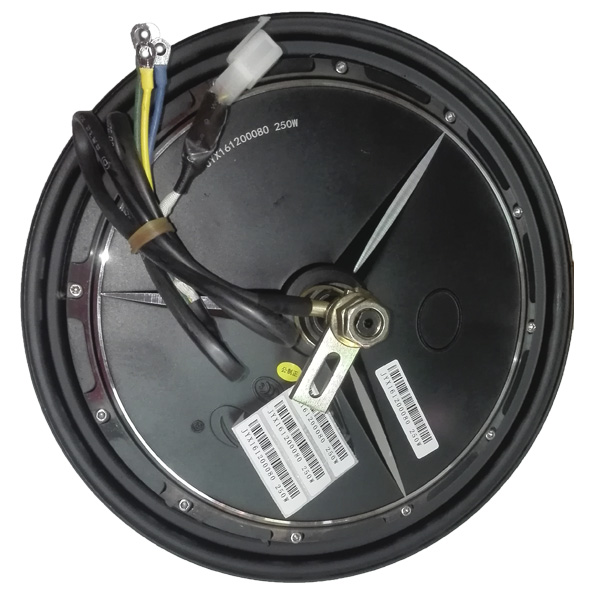 Motor 350W, GUEWER (ZWD 306)