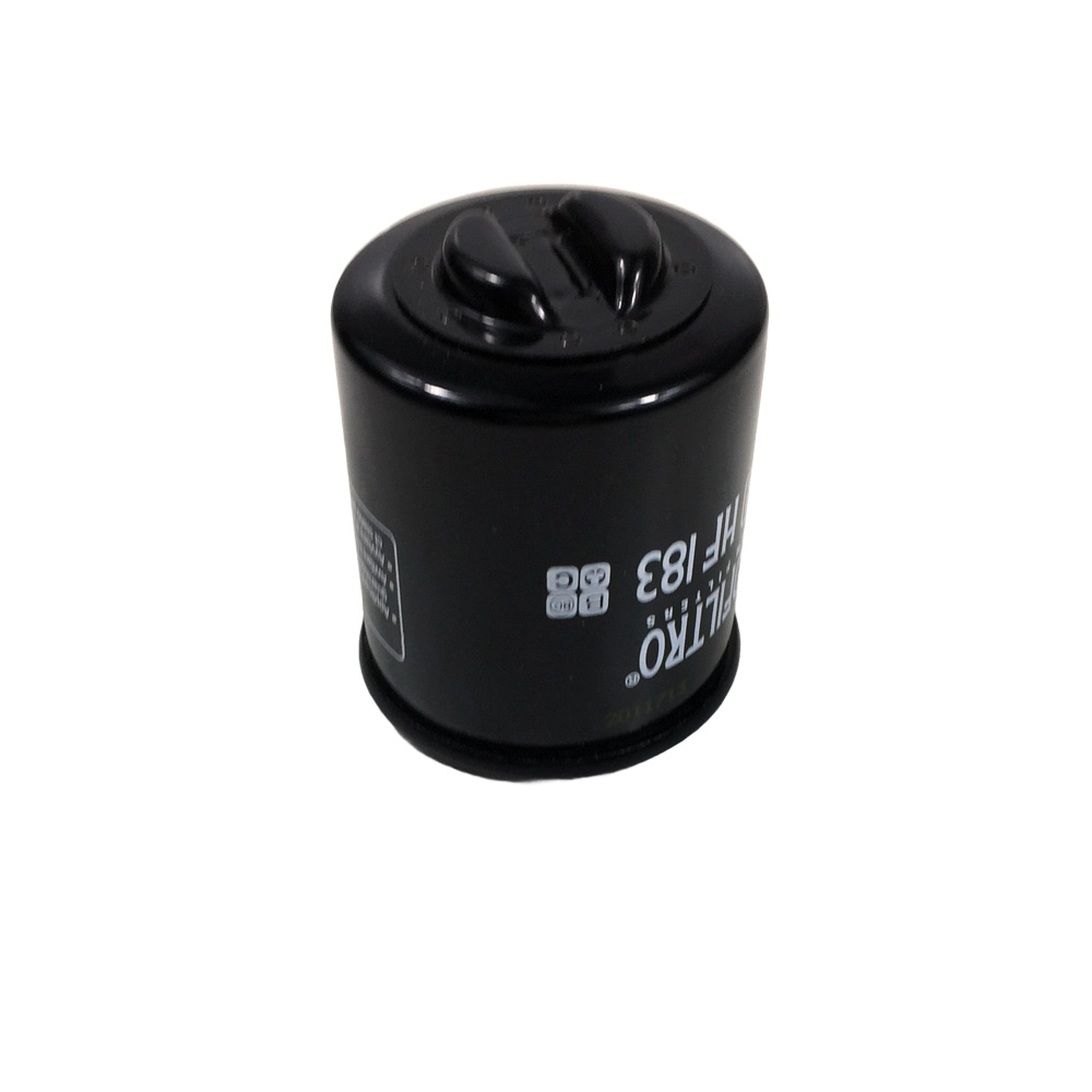 Filtro Oleo Madison 300 (V1)