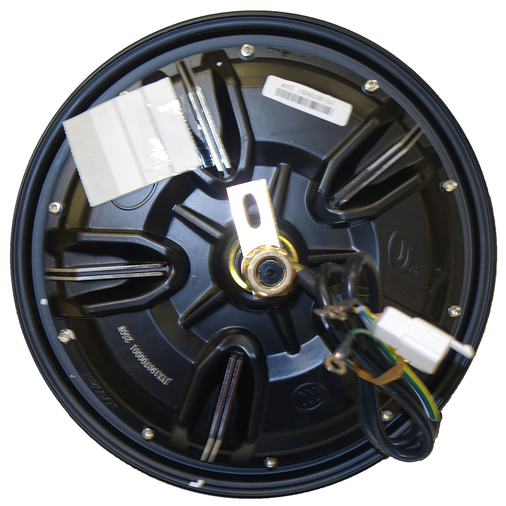 Motor electrico 60V 250W (500W) - Neovolt (ZWD-TT)