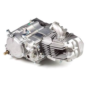 Motor (completo) ANIMA 160 FSM, YCF